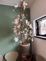 Decoratieve Sier plant op een sokkel (2stuks), Ophalen, Zo goed als nieuw, Rond, Minder dan 25 cm