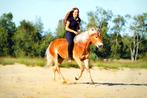 Bijrijder/verzorger gezocht, Dieren en Toebehoren, Paarden en Pony's | Overige Paardenspullen, Ophalen of Verzenden