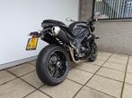 Triumph Speed Triple 94 (bj 2015), Bedrijf, Naked bike