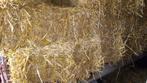 Te bestellen: kleine pakjes stro van het land (nieuwe oogst), Dieren en Toebehoren, Dierenvoeding, Ophalen