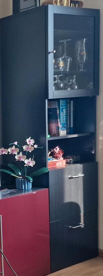 Ikea Besta vitrine/boekenkast met lades