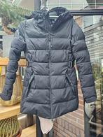 Cavalleria toscana jas maat M, Dieren en Toebehoren, Paardrijkleding, Ophalen of Verzenden, Nieuw, Overige soorten, Bovenkleding