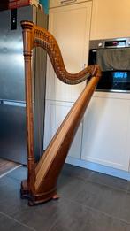 Harp - Salvi Ana - 38 snaren Darm Haakjesharp, Muziek en Instrumenten, Ophalen, Zo goed als nieuw