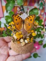 Vlinder op Edelsteen in Glazen Stolp - Handgemaakt, Ophalen of Verzenden, Nieuw
