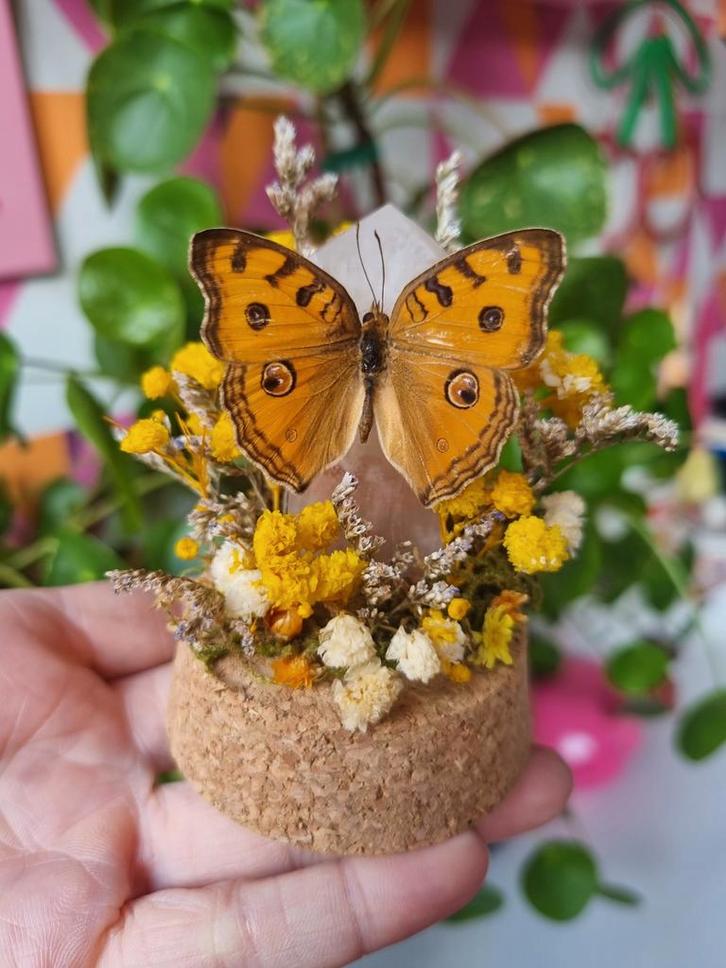 Vlinder op Edelsteen in Glazen Stolp - Handgemaakt, Verzamelen, Dierenverzamelingen, Nieuw, Ophalen of Verzenden