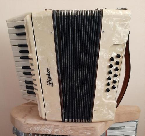 Playback accordeons met oplader, Verzamelen, Automaten | Overige, Gebruikt, Ophalen