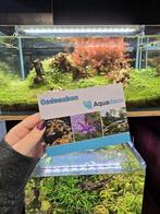 Aquadeco Waardebonnen – Het Perfecte Cadeau!, Dieren en Toebehoren, Vissen | Aquariumvissen, Vis, Zoetwatervis