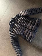 Moncler Jas Maat L, Ophalen of Verzenden, Zo goed als nieuw, Maat 42/44 (L), Blauw