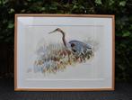 Hans J. Geuze: aquarel purperreiger, Ophalen of Verzenden