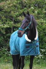 Lieve sociale ruin, Dieren en Toebehoren, Stalling en Weidegang, 1 paard of pony