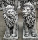 Set Leeuwen in 2 maten, Ophalen, Nieuw, Beton, Overige typen