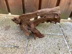 Leuk stuk Kienhout, Ophalen of Verzenden, Gebruikt, Plant(en), Steen of Hout
