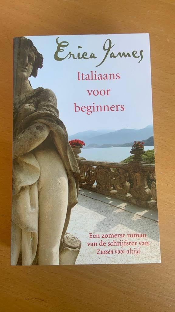 Erica James - Italiaans voor beginners, Boeken, Ophalen of Verzenden, Europa overig