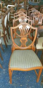 6 heldense taxus eetkamer stoelen, Ophalen