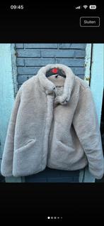 Beige Teddy Jas - XL, Ophalen of Verzenden, Zo goed als nieuw, Maat 46/48 (XL) of groter, Beige