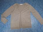 Grijs vestje miss etam mt.xl zgan, Miss Etam., Maat 46/48 (XL) of groter, Ophalen of Verzenden, Zo goed als nieuw