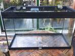 Acquarium 125 liter, Ophalen, Gebruikt, Leeg aquarium