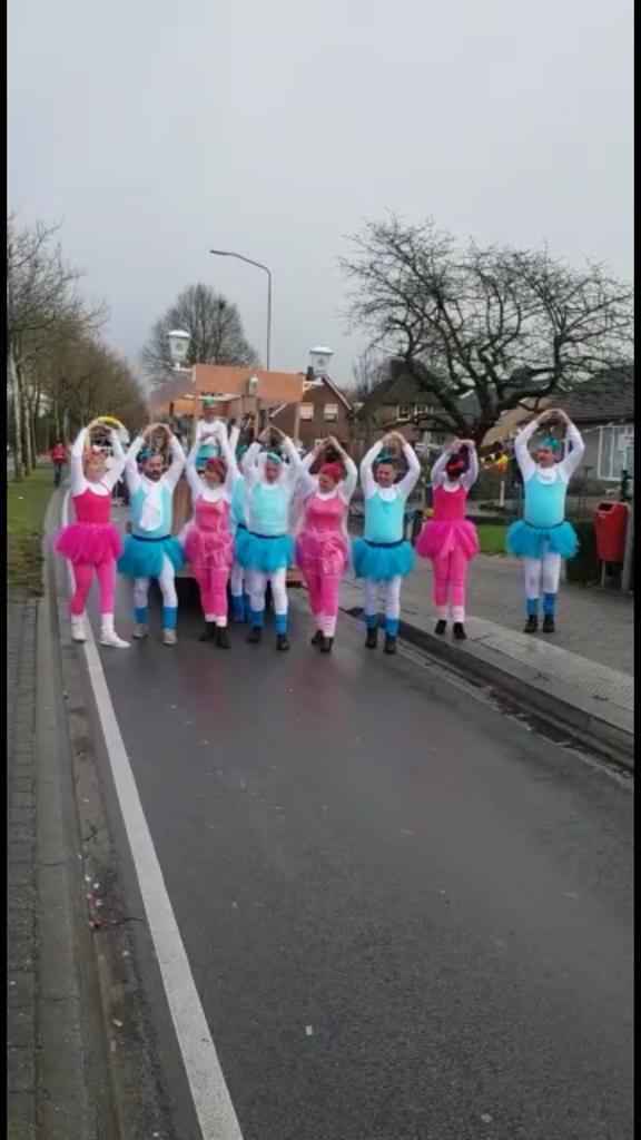 Carnaval kleding ballet, Ophalen of Verzenden, Zo goed als nieuw, Carnaval