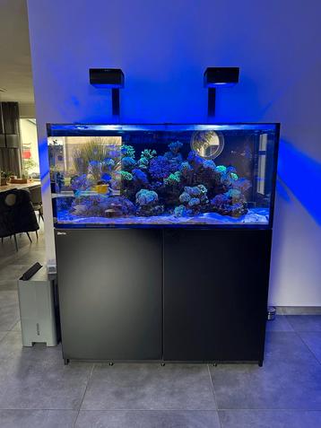 Te koop RedSea 425XL G2 aquaurium zonder apparatuur! beschikbaar voor biedingen