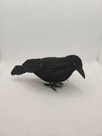 Nep vogel, Mannelijk