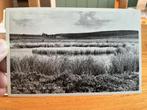 Nijverdal Sparrenberg, Verzamelen, Ansichtkaarten | Nederland, Verzenden, 1940 tot 1960, Gelopen, Overijssel