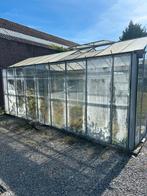 Grote Hobby Kweekkast - Zelf Afbreken, Gebruikt, Kweekkas, Glas, Ophalen