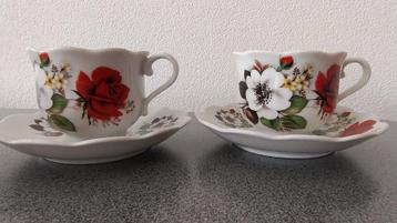 2x Royal Schwabap kop en schotels beschikbaar voor biedingen