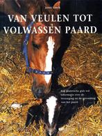 Van Veulen Tot Volwassen Paard - Janet Lorch / 9789062488346, Boeken, Dieren en Huisdieren, Janet Lorch, Ophalen of Verzenden