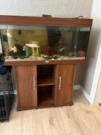 Aquarium met alle toebehoren incl vissen!, Dieren en Toebehoren, Ophalen of Verzenden, Gevuld zoetwateraquarium