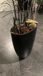 Ovale bloempot, Huis en Inrichting, Ophalen of Verzenden, Overige soorten, Volle zon, Minder dan 100 cm