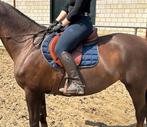 Emmers phillip Jump springzadel 18/M, Dieren en Toebehoren, Paarden en Pony's | Zadels, Ophalen, Zo goed als nieuw, Springen
