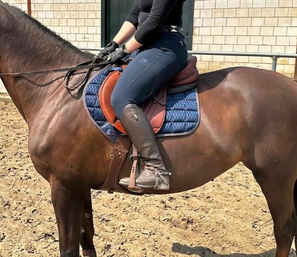 Emmers phillip Jump springzadel 18/M, Dieren en Toebehoren, Paarden en Pony's | Zadels, Zo goed als nieuw, Springen, Ophalen