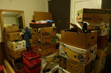 Gratis ophalen in Venlo: ca. 20 bananendozen beschikbaar voor biedingen