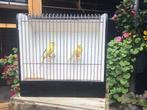 Div waterslagers, Dieren en Toebehoren, Meerdere dieren