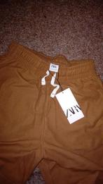 Zara short bruin, Kleding | Heren, Broeken en Pantalons, Maat 46 (S) of kleiner, Bruin, Ophalen