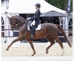 Instructrice, Diensten en Vakmensen, Dieren | Paarden | Verzorging, Oppas en Les