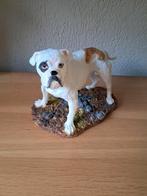 Mooi beeld van de buldog te koop, Ophalen of Verzenden, Nieuw, Dier