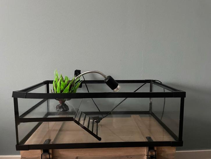 Terrarium voor waterschildpad