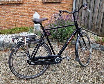  GROTE MAAT SPARTA HERENFIETS beschikbaar voor biedingen
