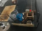 Hamsterkooi met toebehoren, Dieren en Toebehoren, Knaagdieren en Konijnen | Hokken en Kooien, Ophalen of Verzenden, Minder dan 75 cm
