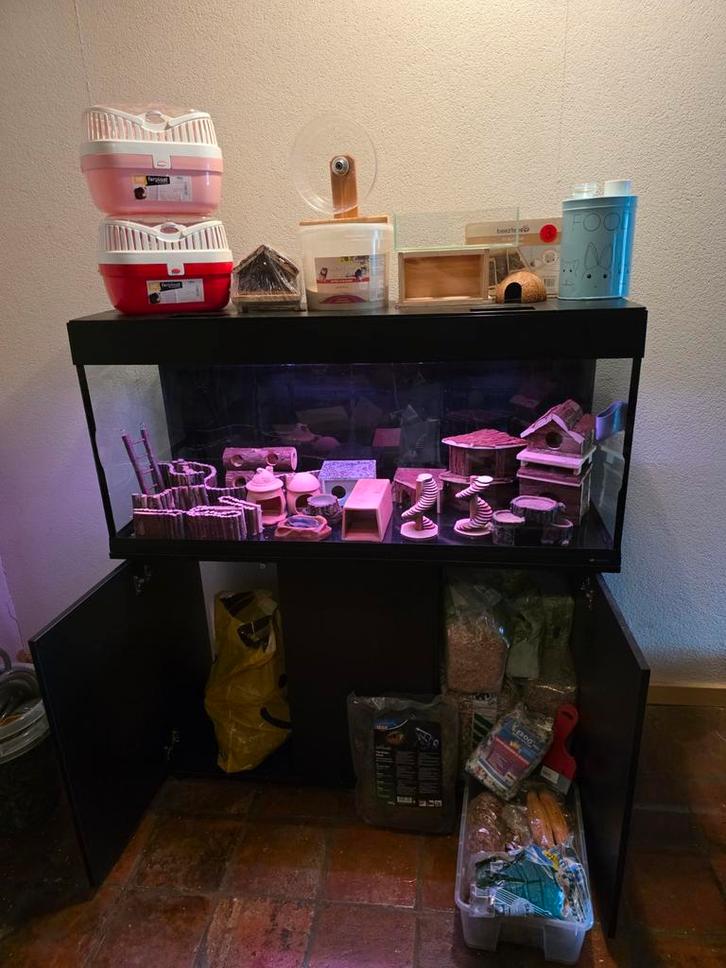 Super gaaf hamster- of muizenverblijf!!, Dieren en Toebehoren, Knaagdieren en Konijnen | Hokken en Kooien, Gebruikt, Kooi, 90 cm of meer