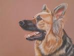 Schilderij duitse herdershond - herder - met lijst -honden, Antiek en Kunst, Ophalen of Verzenden