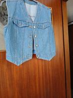 Gilet, Verzenden, Zo goed als nieuw, Maat 42/44 (L), Blauw