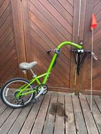 Aanhangfiets Burley piccolo met versnelling, Fietsen en Brommers, Fietsen | Kinderfietsjes, Ophalen, Zo goed als nieuw, 20 inch of meer