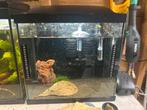 30L Aquarium, Ophalen of Verzenden, Zo goed als nieuw