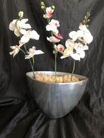 Kunst Orchideeën in elegante orchideeën vaas, Ophalen, Overige kleuren, Minder dan 50 cm, Glas