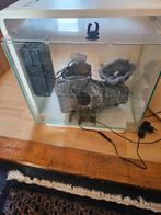 Aquarium, Dieren en Toebehoren, Ophalen, Zo goed als nieuw, Terrarium of Paludarium