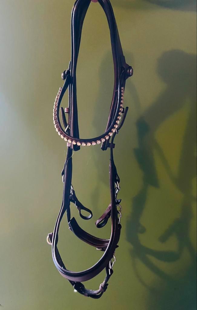 Presteq hoofstel ️️️️️️, Dieren en Toebehoren, Paarden en Pony's | Hoofdstellen en Tuigage, Zo goed als nieuw, Overige soorten