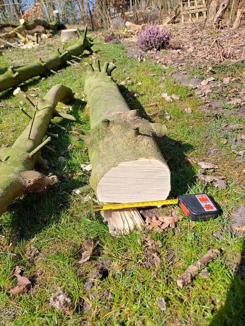 Zeldzaam Hulst hout. Geschikt voor meubels. lijsten. Inleg, Tuin en Terras, Overige Tuin en Terras, Zo goed als nieuw, Ophalen