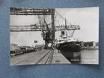 Dordrecht, Zeehavenbedrijf, Verzenden, 1940 tot 1960, Ongelopen, Zuid-Holland